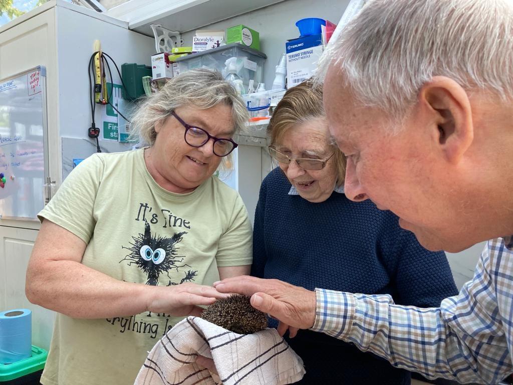 residents stroking a hedgehog